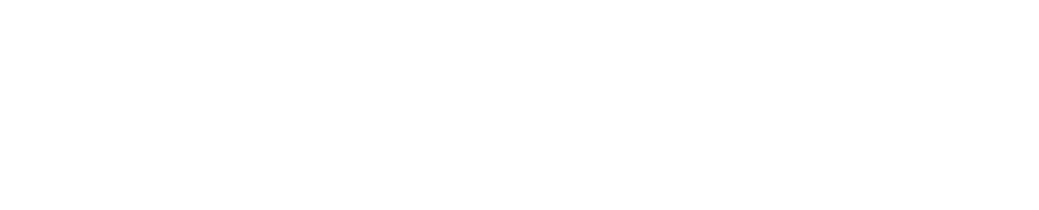 draccon_logo_white
