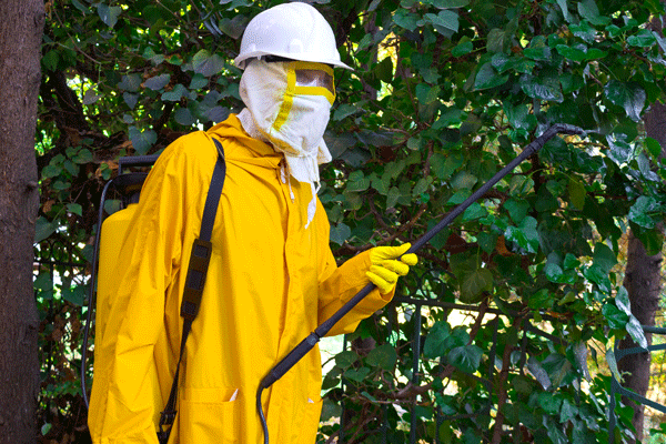Is Monthly Pest Control Needed for Property Owners? | San Joaquin Pest Control