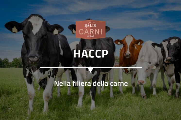 Haccp Nella Filiera Della Carne