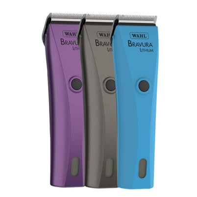 41870.Bravura.color options
