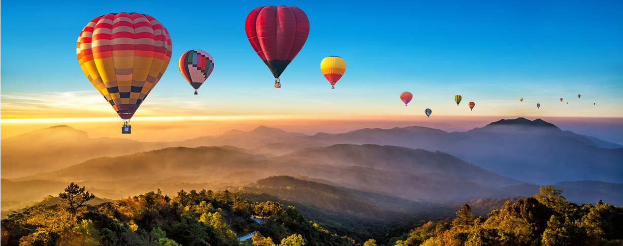 Balloons aloha case study answers 07 picture