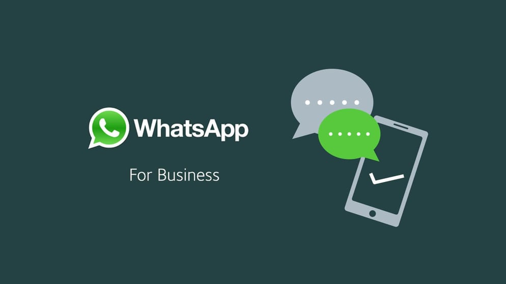 whatsapp-aziende-presto-realta-copertina