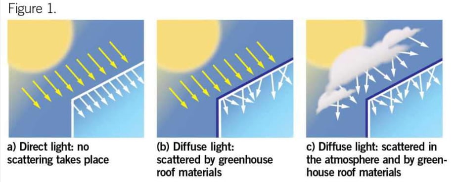 Diffuse Light and it’s Effects in Greenhouses