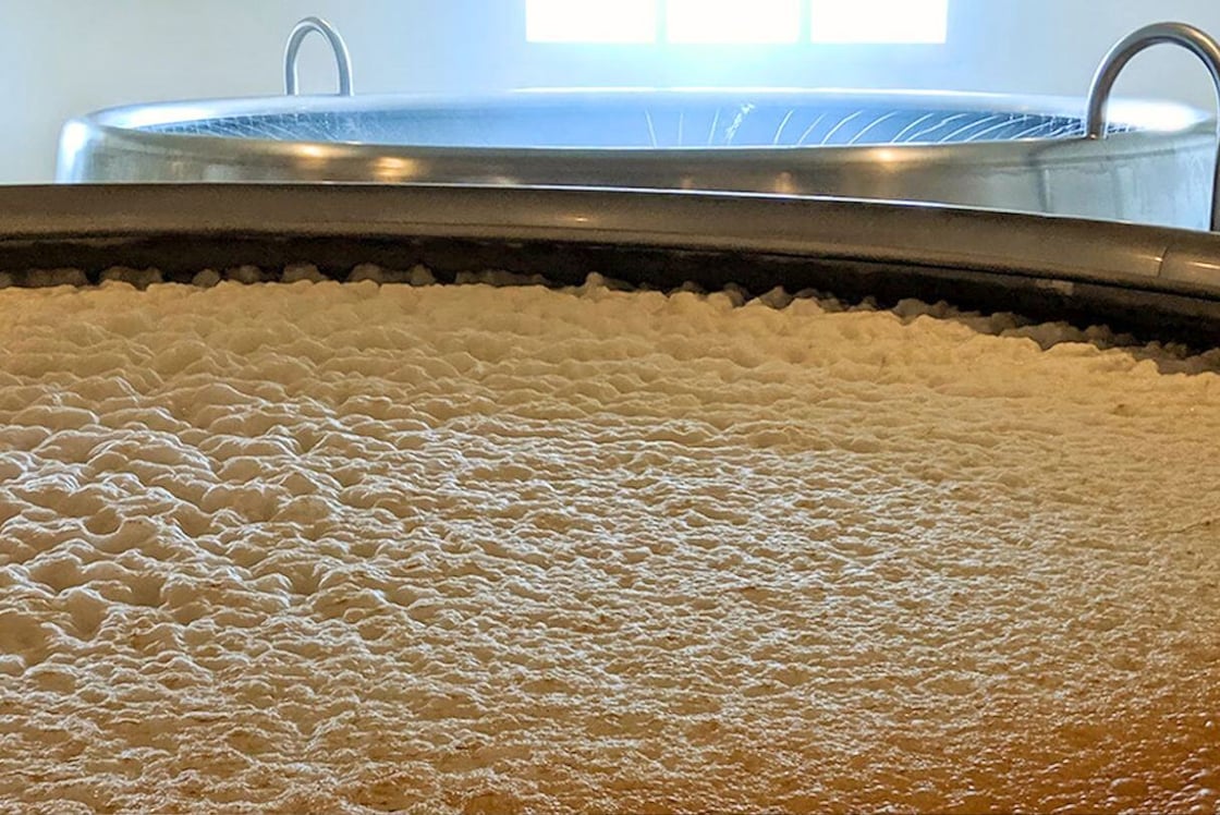 Yeast