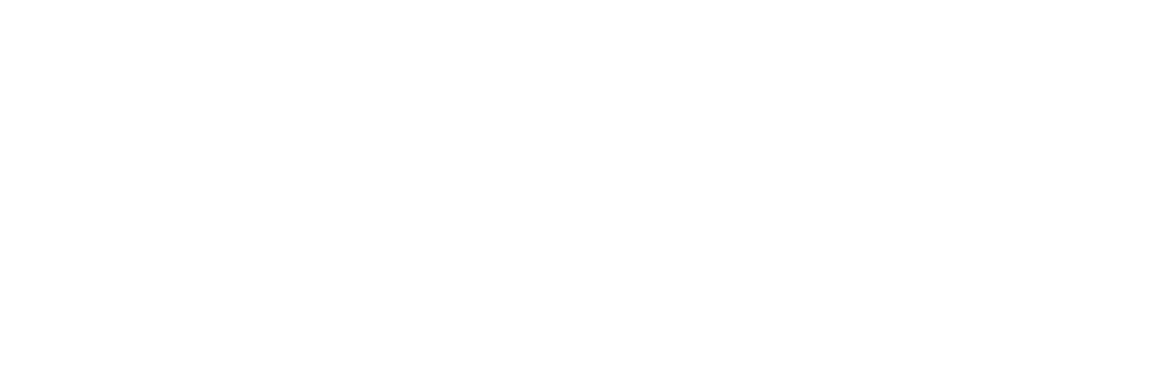 Madrax_Logo_2017_white_transparent