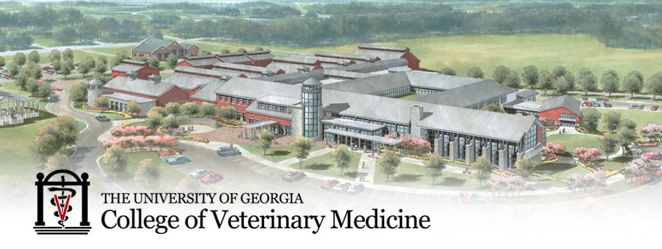 Best Vet Schools in America