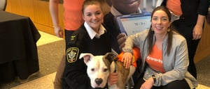 Watch: What do GenNext & dog adoptions have in common?