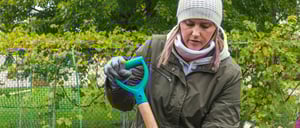 Watch: Garden clean up with NorWest Community Food Centre