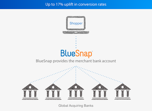 intelligent_payment_routing_bluesnap.png