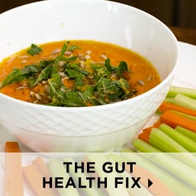 The Gut-Health Fix