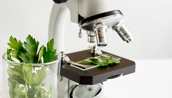 microscope_001 microscope_001