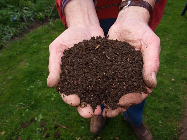 5 Places to Use Your Compost