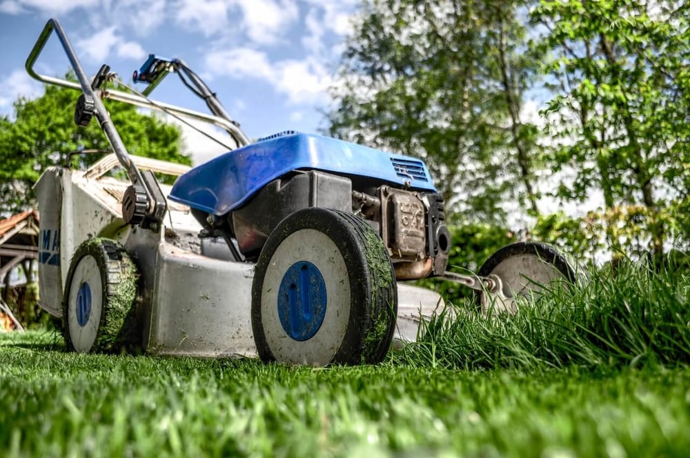 February Garden and Lawn Care Tips