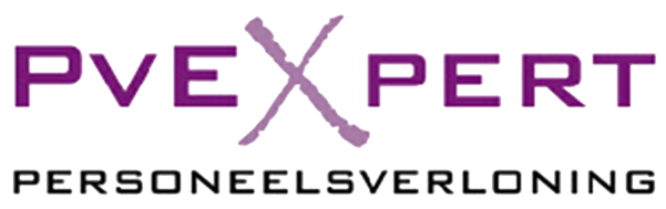 pvexpert-logo (1)