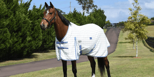3 easy steps to finding the right size Caribu rug for your horse