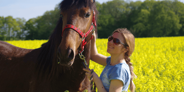 6 ways to bond with your new horse