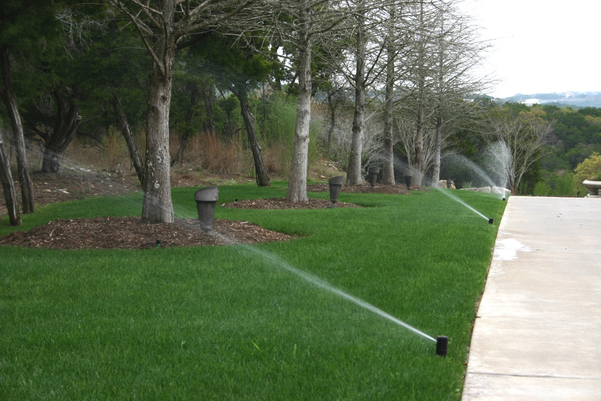 Drip Irrigation Vs Spray, Landscape Watering System