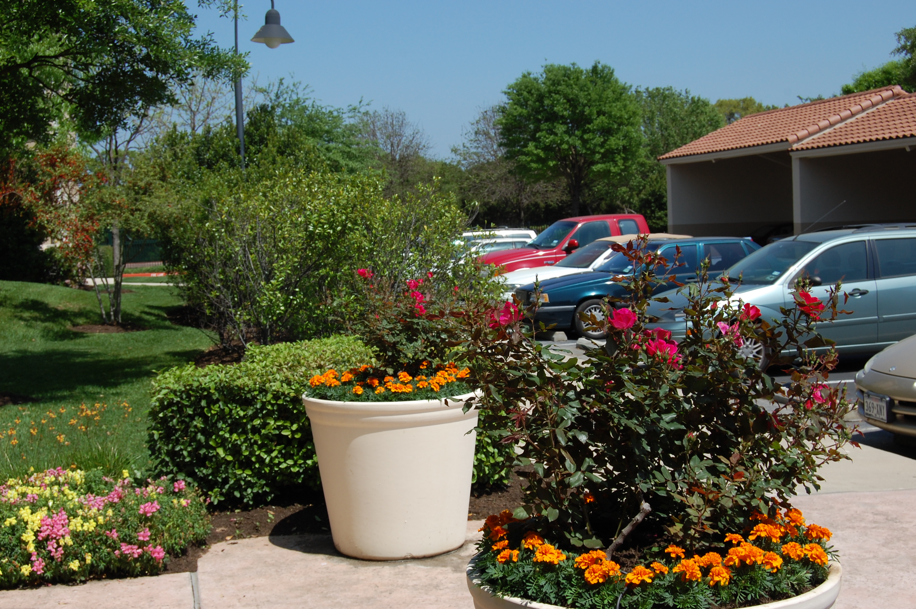 How Much Does it Cost to Add Seasonal Color to Your Landscape?