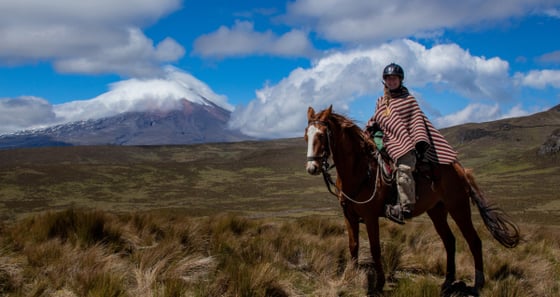 Ausritt im Cotopaxi Nationalpark.