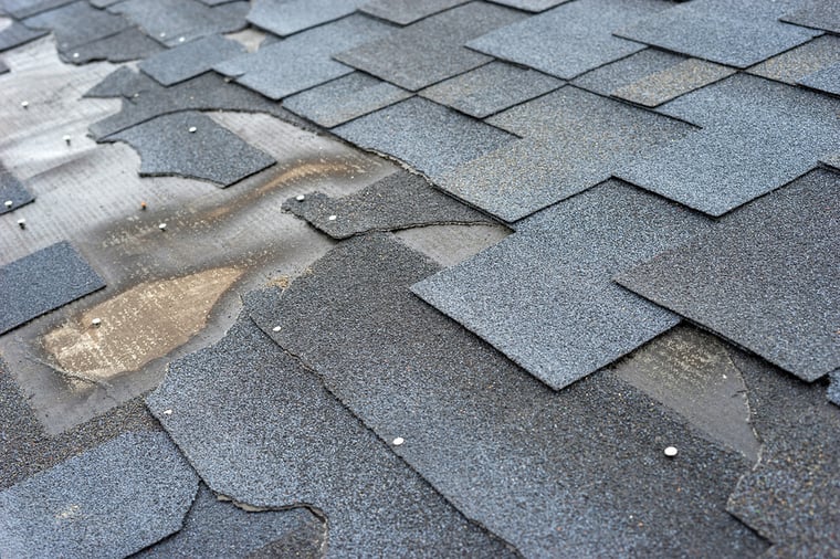 Avoid a Roof Replacement by Having Your Roof Inspected for These Issues Avoid a Roof Replacement by Having Your Roof Inspected for These Issues