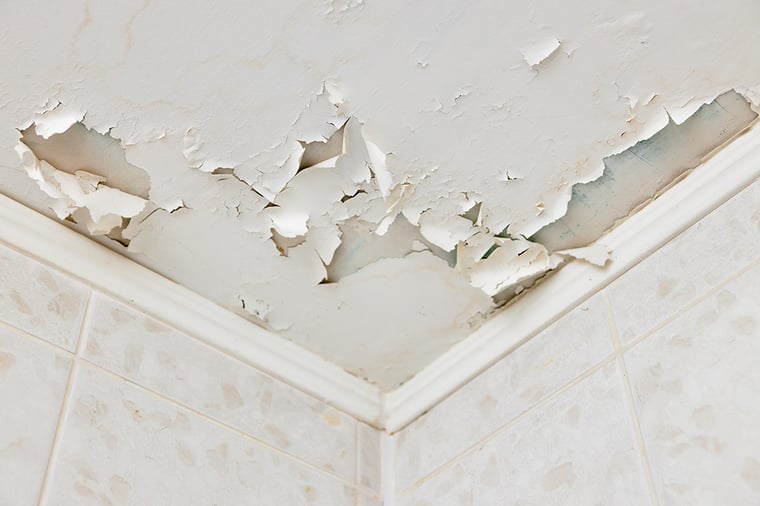 Work with First Quality Roofing & Insulation to Keep Your Commercial Roof in Good Repair Work with First Quality Roofing & Insulation to Keep Your Commercial Roof in Good Repair