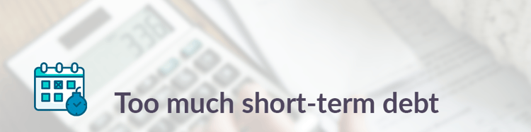 short term debt