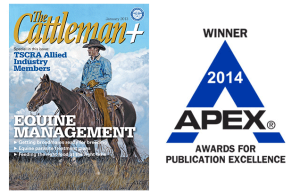 madison-miles-content-marketing-APEX-Award-300x196