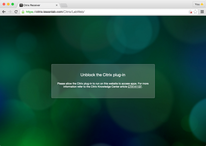 Citrix Plug In Chrome