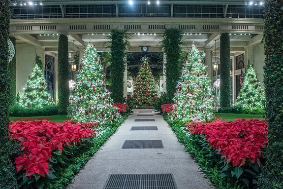 A Longwood Christmas
