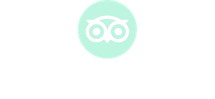light-tripadvisor copy