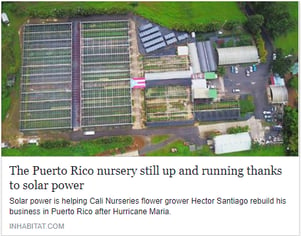 Puerto Rico nursery.png