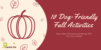 10 Fall Activities
