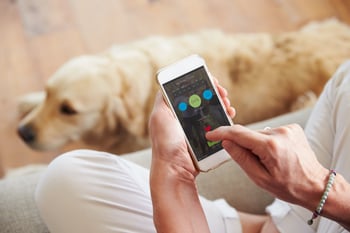 The Best Mobile Apps for Pet Parents