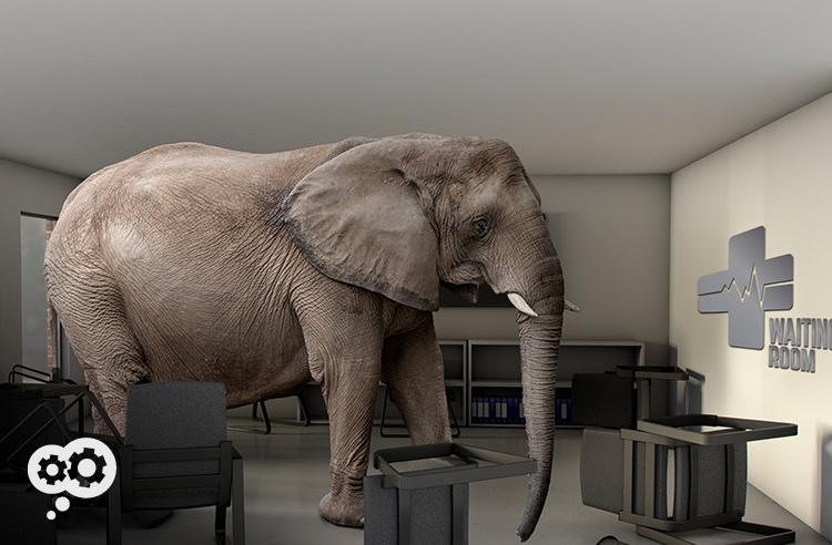 blog_elephant_waiting_room.jpg blog_elephant_waiting_room.jpg