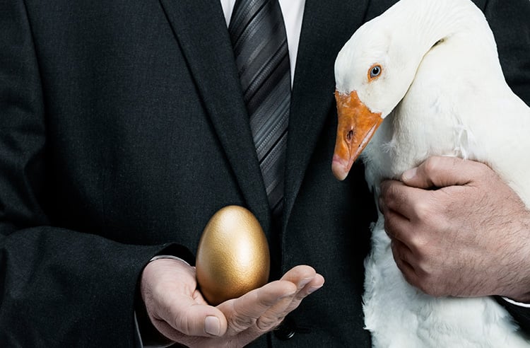 rr_golden_goose rr_golden_goose