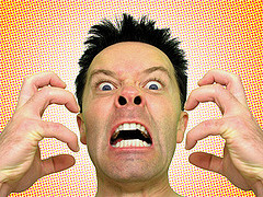 read a credit report