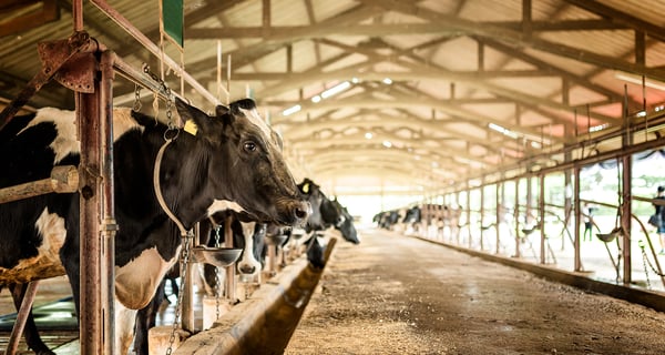 Skip-lot sampling for dairy producers