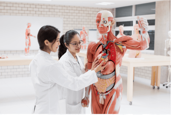 5 razones para estudiar una carrera en Ciencias de la Salud en la UNITEC 5 razones para estudiar una carrera en Ciencias de la Salud en la UNITEC