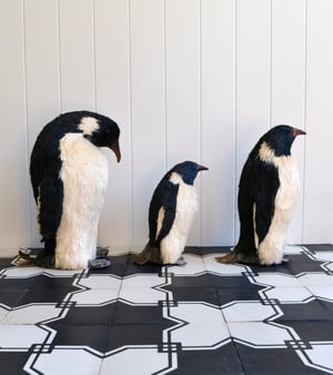 Black and White Tile Done Right