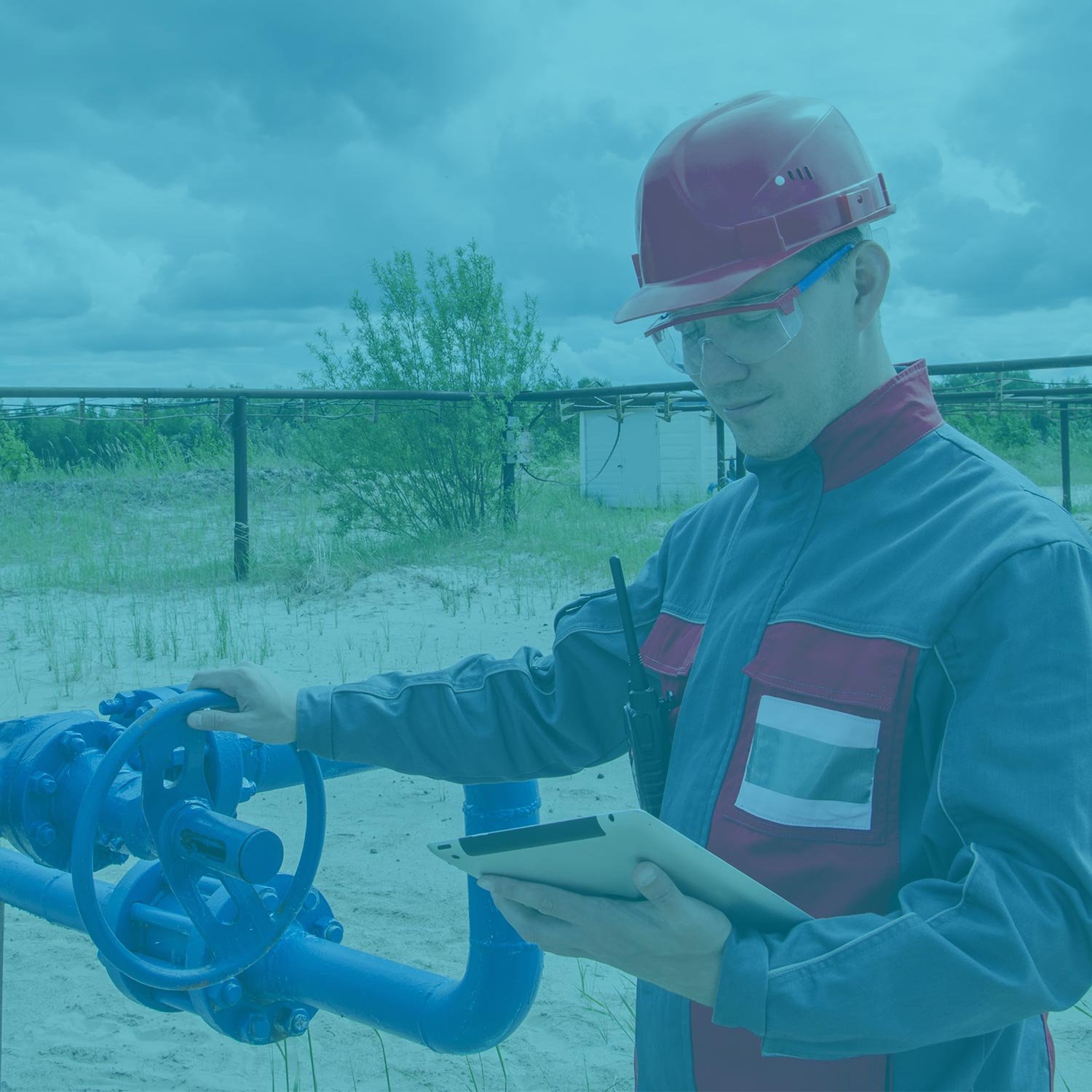 Elearning Thrive Obvious Choice