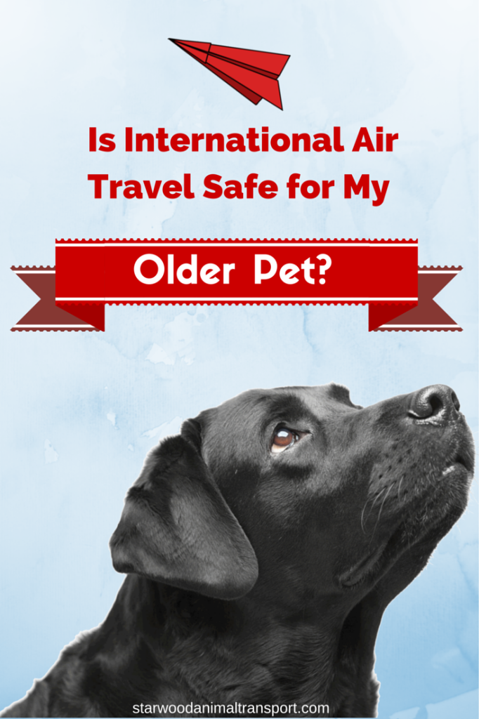 how much does it cost to fly a dog international