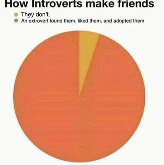 introverts make friends