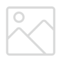 Account Page Icons_Network Status