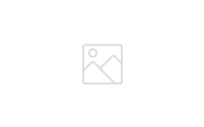 NPANZ Logo