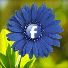 how to advertise your business on facebook