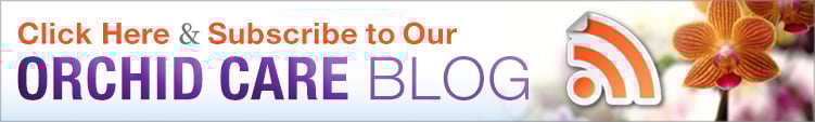Just Add Ice Blog