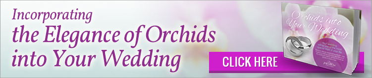 Wedding Orchids Guide