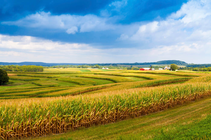usa iowa corn
