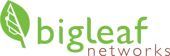 Bigleaf Logo - LARGE-1