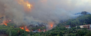 Wildfire toolkit_1